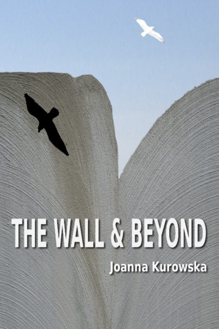 E-knjiga Wall & Beyond Joanna Kurowska