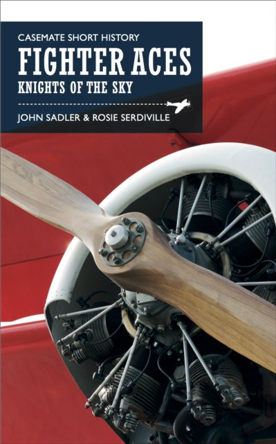 Libro electrónico Fighter Aces John Sadler