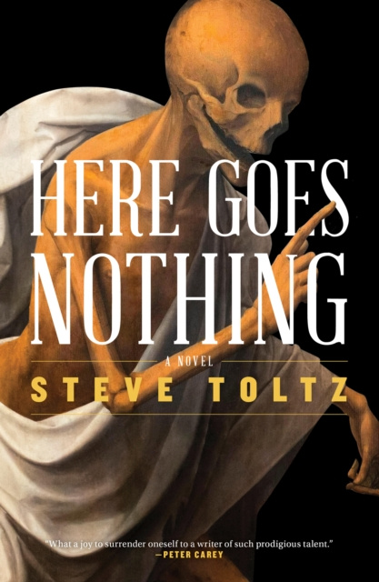 E-kniha Here Goes Nothing Steve Toltz