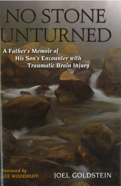 E-book No Stone Unturned Joel M. Goldstein