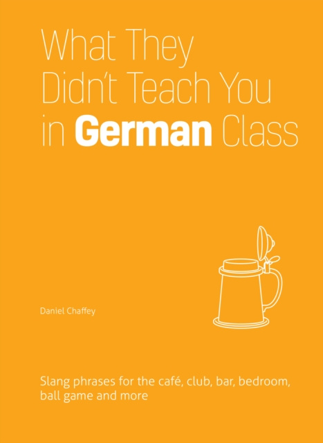 E-kniha What They Didn't Teach You in German Class Daniel Chaffey