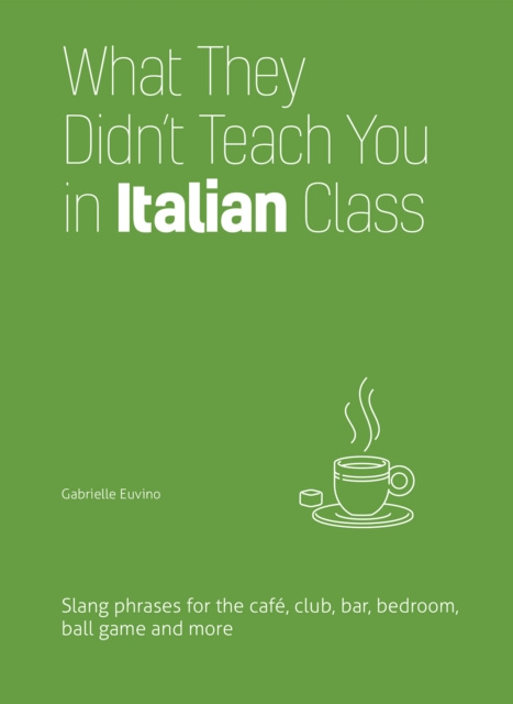 E-kniha What They Didn't Teach You in Italian Class Gabrielle Euvino