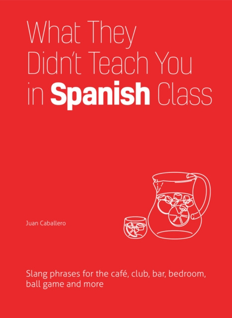 E-kniha What They Didn't Teach You in Spanish Class Juan Caballero