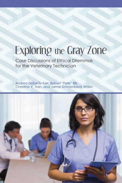 E-book Exploring the Gray Zone Andrea DeSantis Kerr