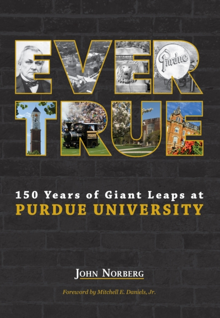 E-book Ever True John Norberg