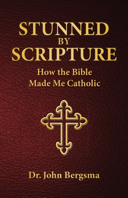 E-book Stunned by Scripture Ph.D. Dr. John S. Bergsma