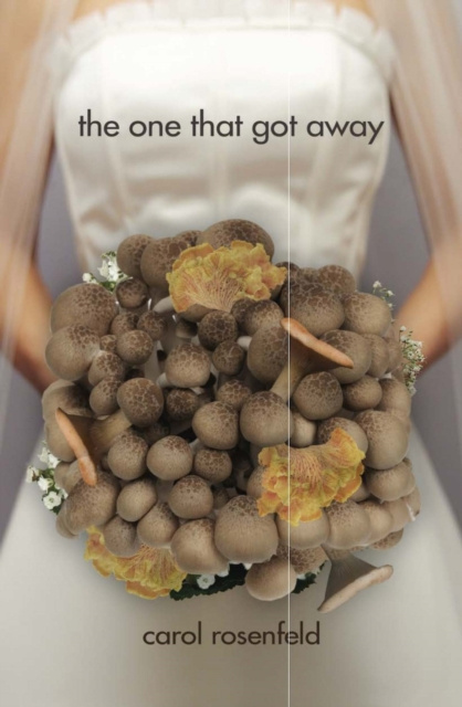 E-knjiga One That Got Away Carol Rosenfeld