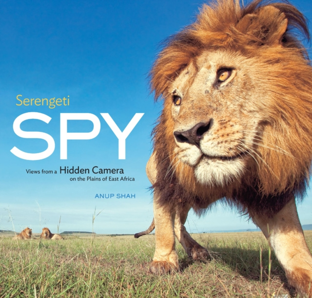 E-kniha Serengeti Spy Shah Anup Shah