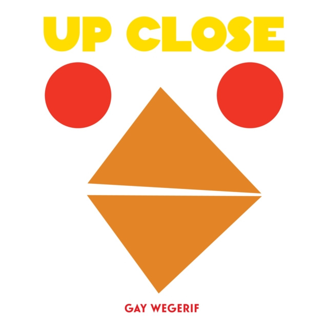 E-book Up Close Gay Wegerif