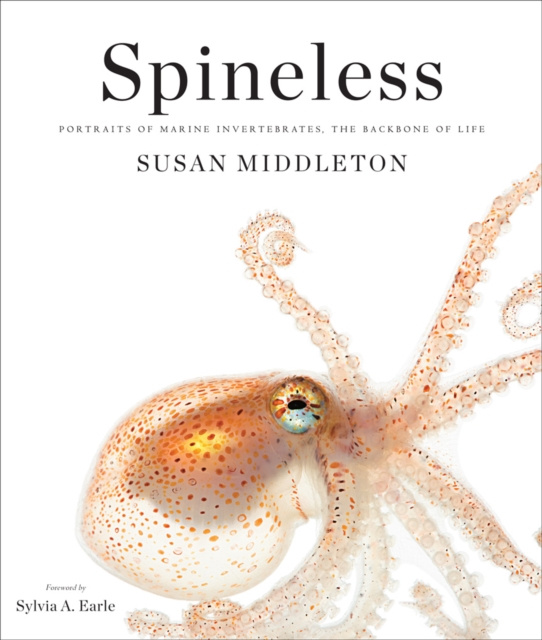 E-book Spineless Susan Middleton