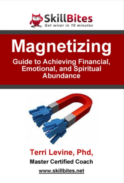 E-knjiga Magnetizing Ph.D Terri Levine