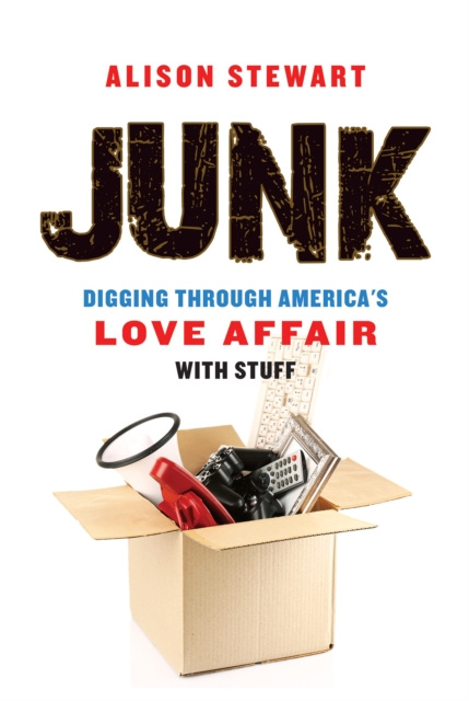 E-book Junk Alison Stewart
