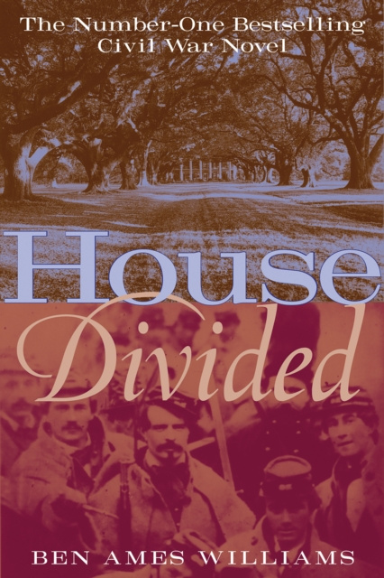 E-knjiga House Divided Ben Ames Williams