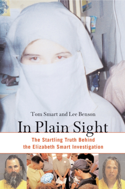 E-book In Plain Sight Tom Smart