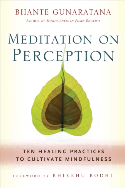 E-Book Meditation on Perception Henepola Gunaratana