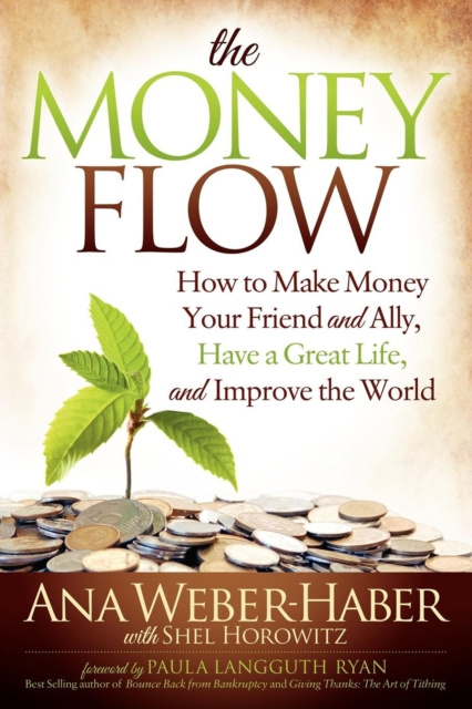 E-knjiga Money Flow Ana Weber-Haber