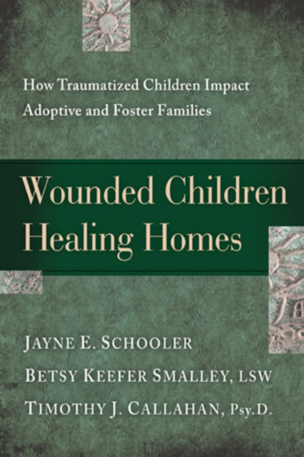 E-kniha Wounded Children, Healing Homes Jayne Schooler