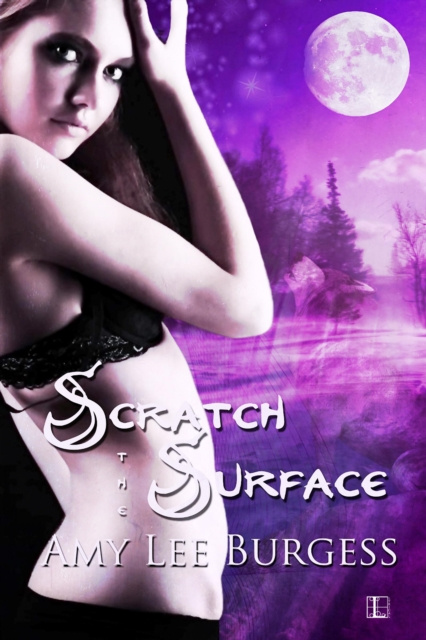 E-Book Scratch the Surface Amy Lee Burgess