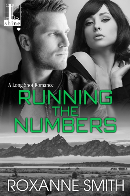 E-book Running the Numbers Roxanne Smith