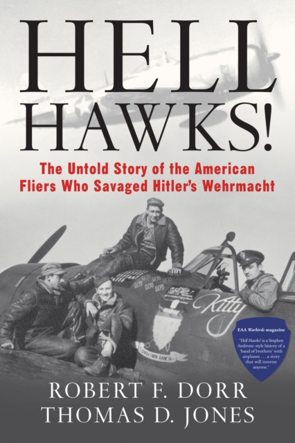 E-knjiga Hell Hawks! Robert F. Dorr