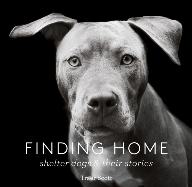 E-book Finding Home Traer Scott