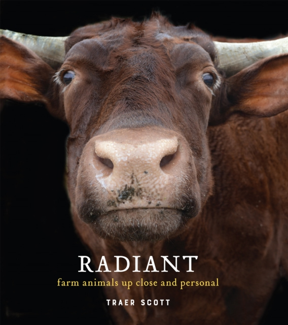 E-book Radiant Traer Scott