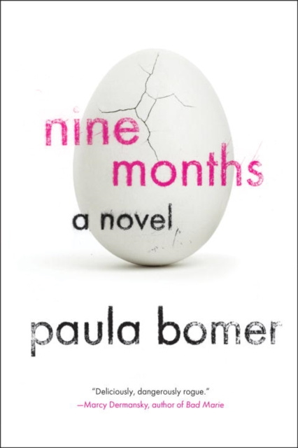 E-kniha Nine Months Paula Bomer