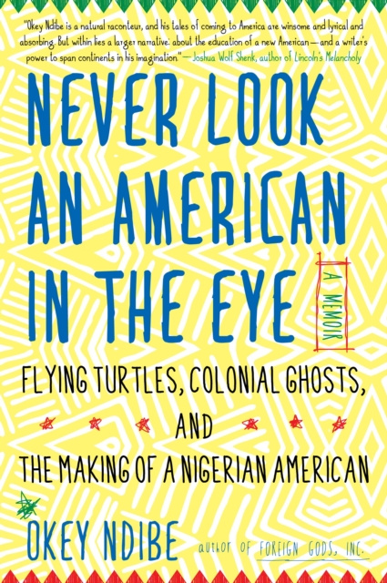 E-kniha Never Look an American in the Eye Okey Ndibe