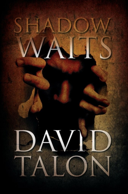 E-knjiga Shadow Waits David Talon