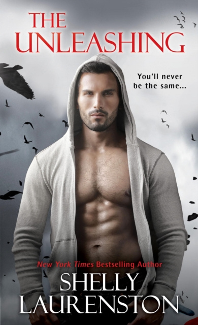 E-kniha Unleashing Shelly Laurenston