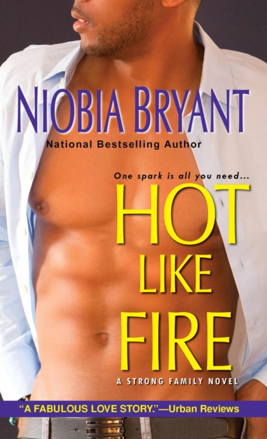 E-knjiga Hot Like Fire Niobia Bryant