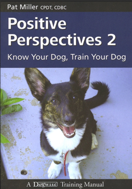 E-Book POSITIVE PERSPECTIVES 2 Pat Miller