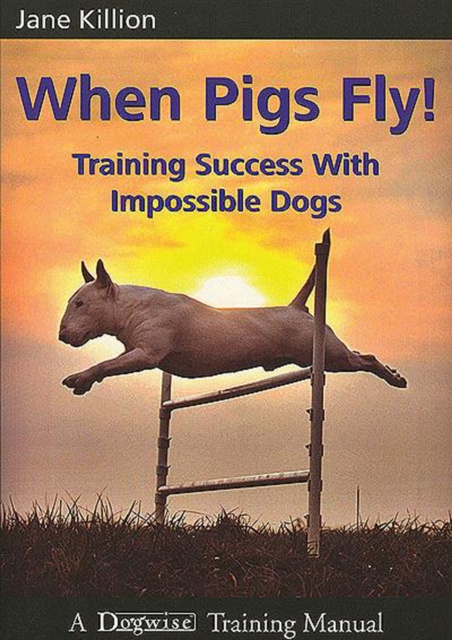 E-kniha WHEN PIGS FLY Jane Killion
