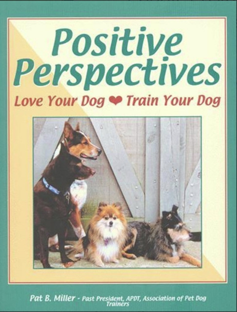 E-knjiga POSITIVE PERSPECTIVES Pat B Miller