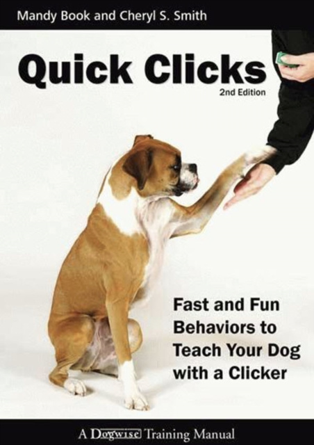 E-knjiga QUICK CLICKS 2ND EDITION Mandy Book