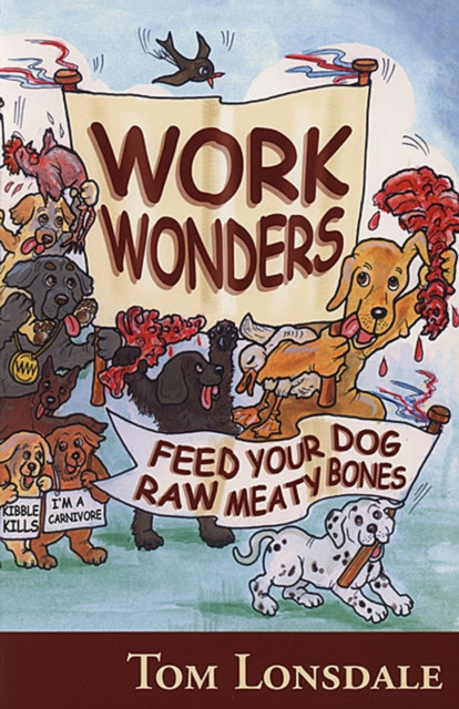 E-Book WORK WONDERS Tom Lonsdale