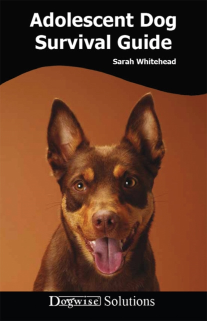 ebook ADOLESCENT DOG SURVIVAL GUIDE Sarah Whitehead