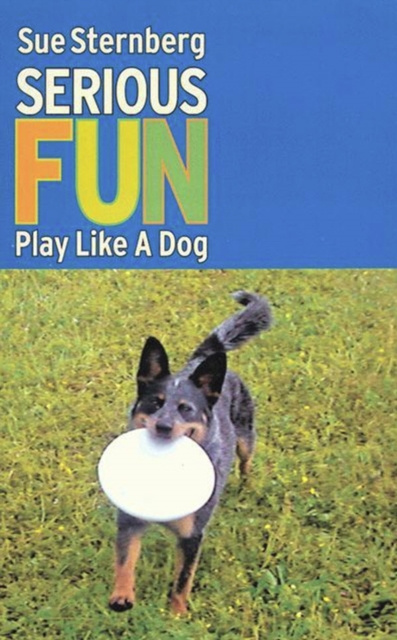 E-book SERIOUS FUN Sue Sternberg