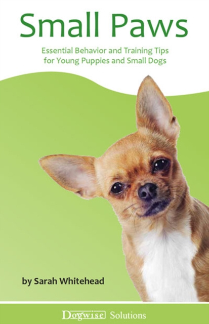 E-book Small Paws Sarah Whitehead