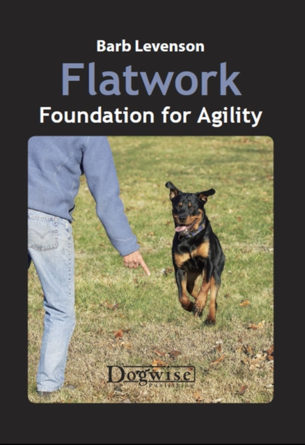 E-knjiga Flatwork Barb Levenson