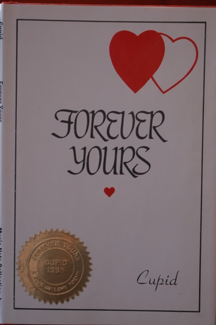 E-knjiga Forever Yours Clevin Brailsford