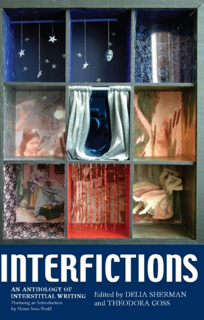 E-knjiga Interfictions Delia Sherman