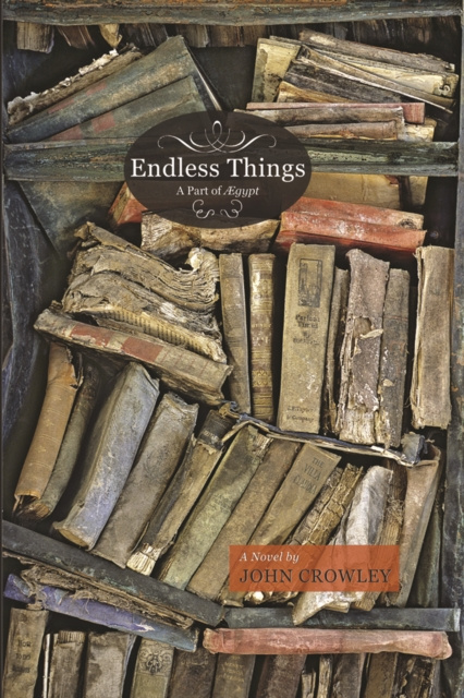 E-knjiga Endless Things John Crowley