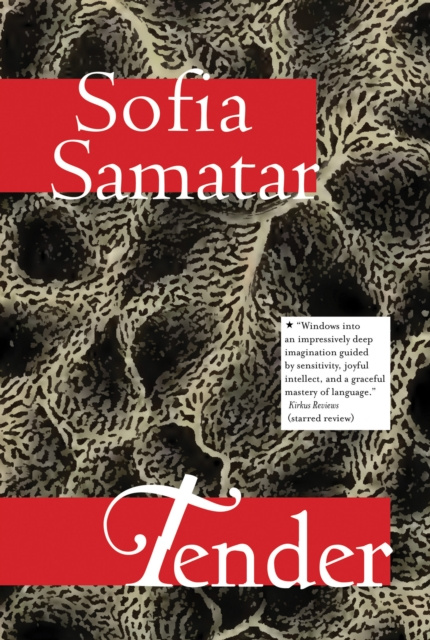 E-book Tender Sofia Samatar