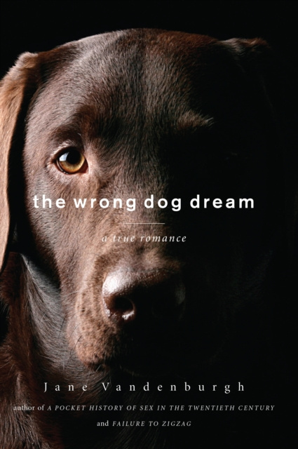 E-knjiga Wrong Dog Dream Jane Vandenburgh
