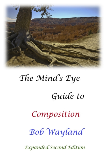 E-knjiga Mind's Eye Guide to Composition Bob Wayland