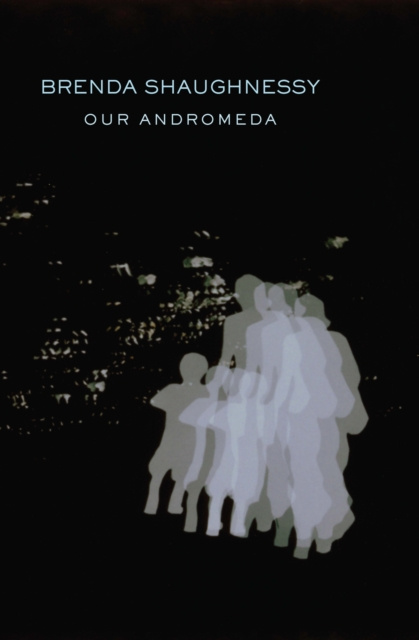 E-book Our Andromeda Brenda Shaughnessy
