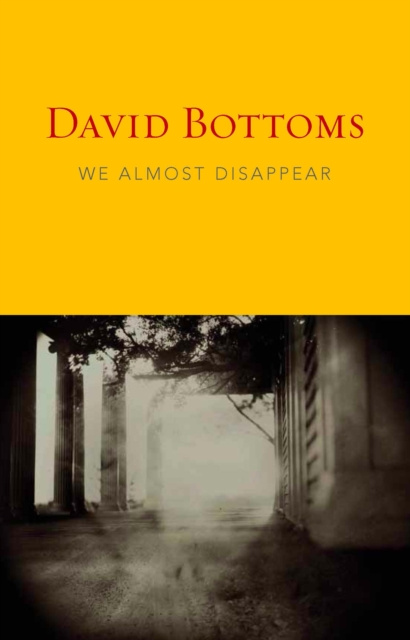 E-knjiga We Almost Disappear David