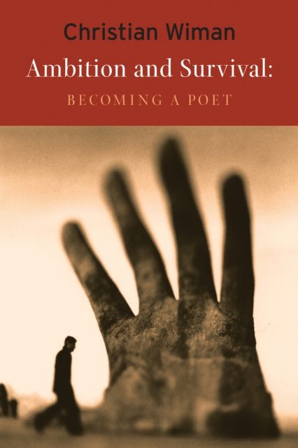 E-book Ambition and Survival Christian Wiman