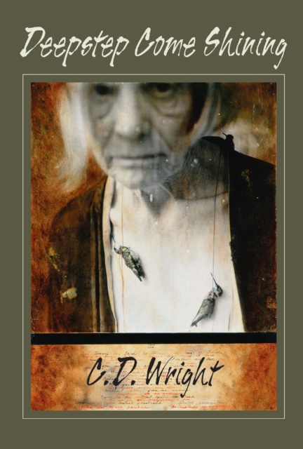 E-book Deepstep Come Shining C.D. Wright